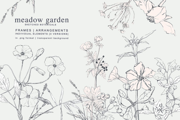 Explore Creativity with Pencil Sketched Botanicals