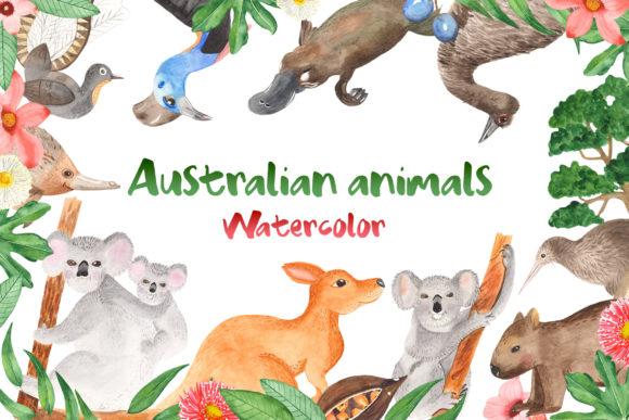 Exploring the Versatility of Australian Animals Watercolor Clipart