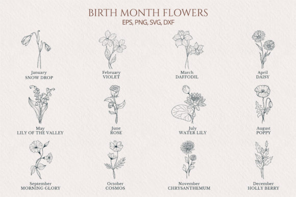 Hand Drawn Birth Month Flower Collection