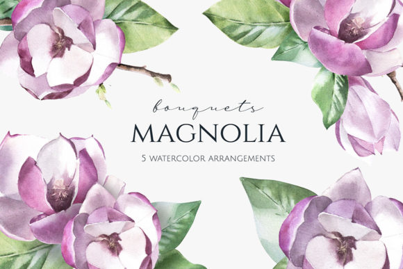 Pink Magnolia Arrangements: A Versatile and Elegant Choice for Modern Design