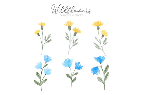 Watercolor Wildflower Set Illustration: A Versatile Tool for Creative Projects